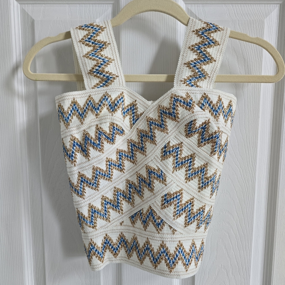 🌷NWT - Embroidered Crop Top With Metallic Thread